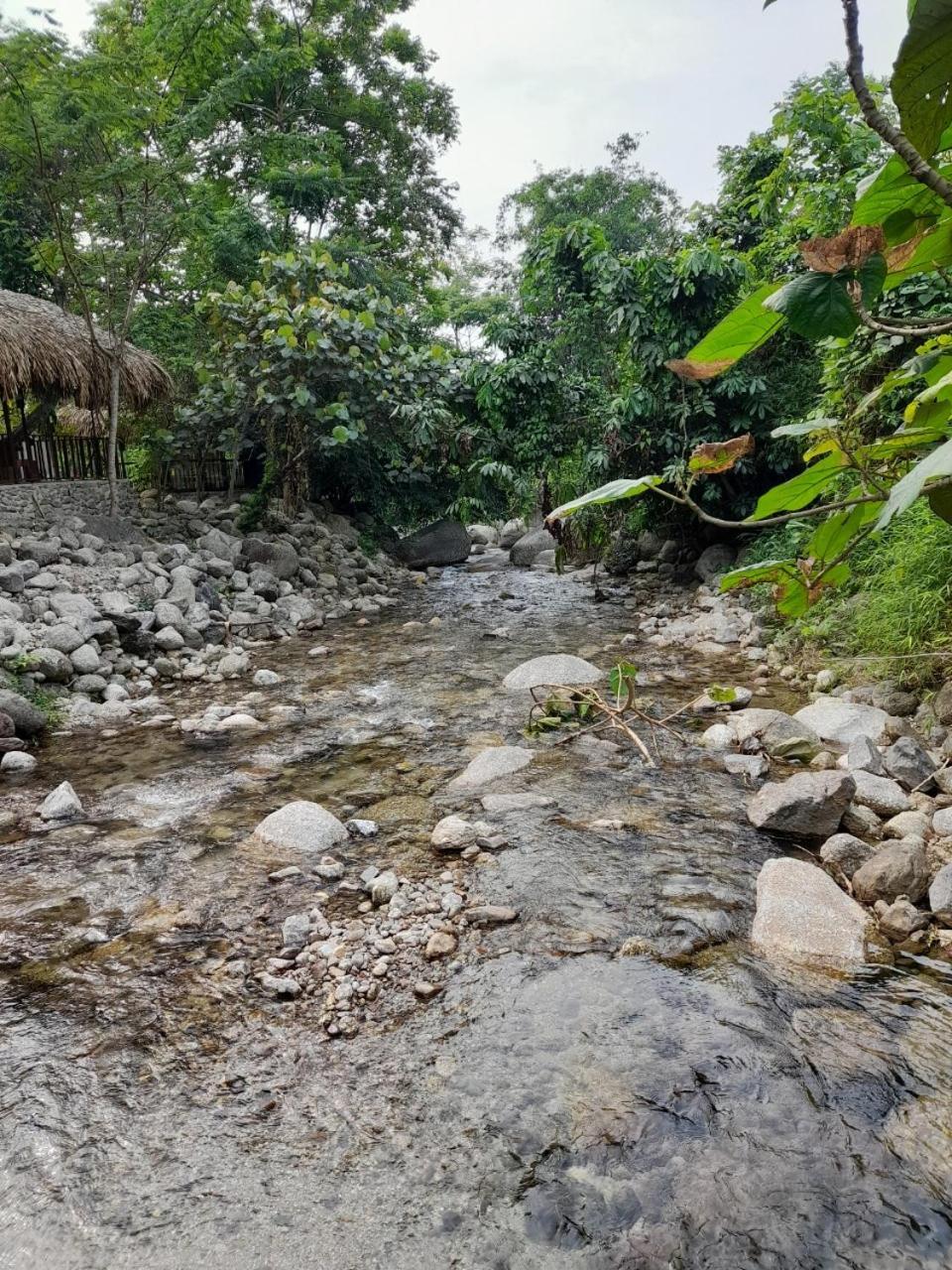 Khach San Vuon Quoc Gia Ba Be Hotel Bac Kan Екстериор снимка