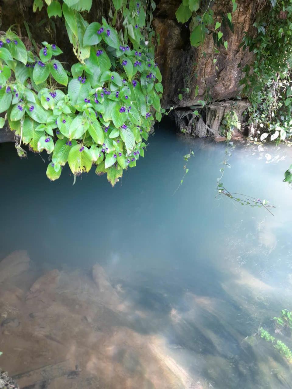 Khach San Vuon Quoc Gia Ba Be Hotel Bac Kan Екстериор снимка