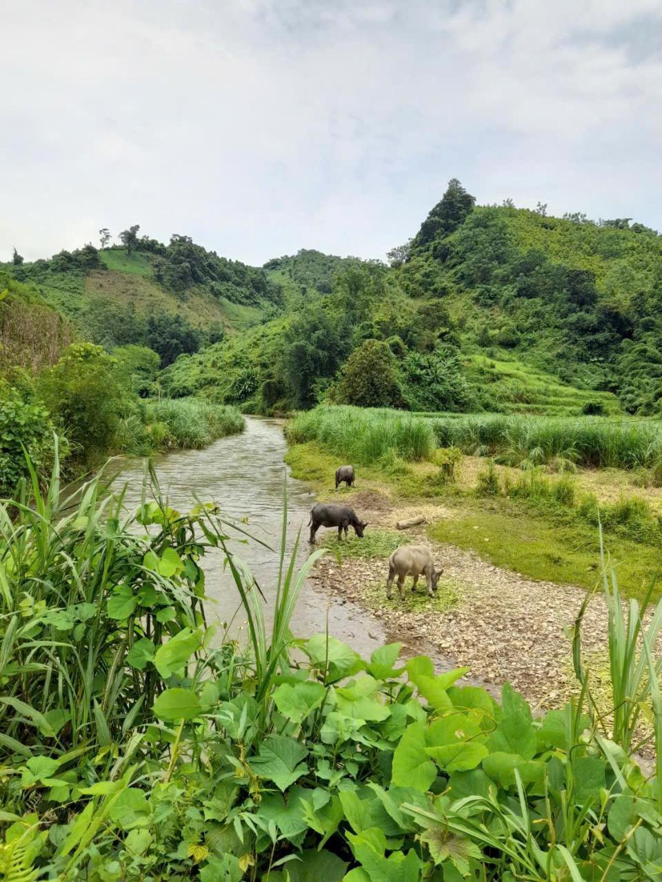 Khach San Vuon Quoc Gia Ba Be Hotel Bac Kan Екстериор снимка